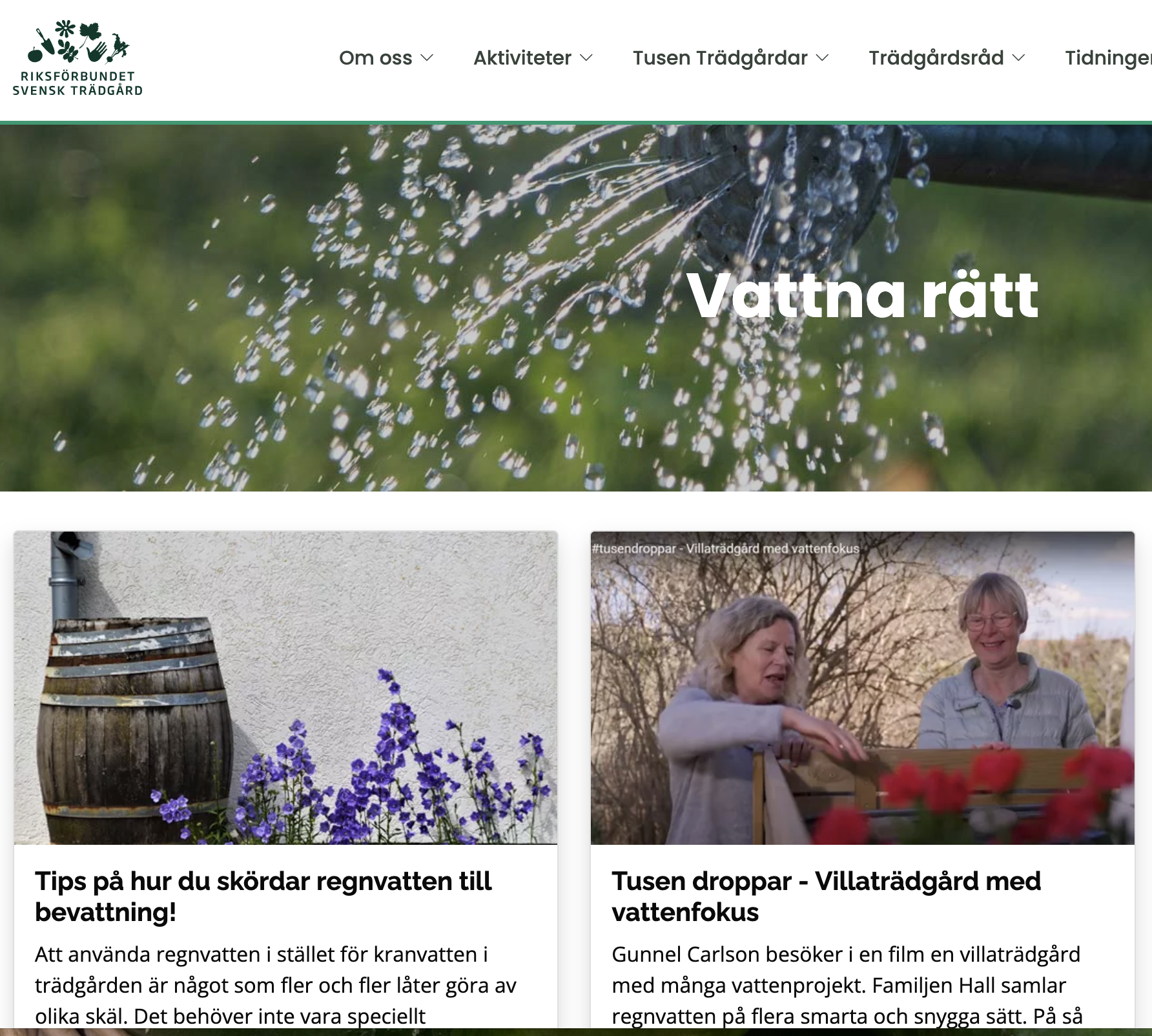 Självhushållning, vatten och fröer!